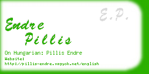 endre pillis business card